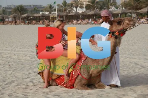 Lydia Bright on Camel Ride in Dubai