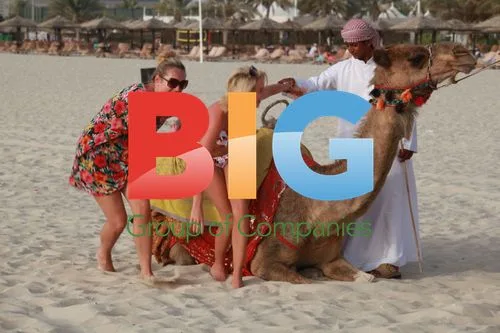 Lydia Bright on Camel in Dubai