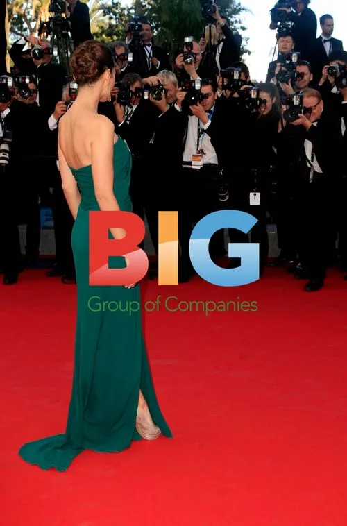 Red Carpet at 65th Cannes Film Festival