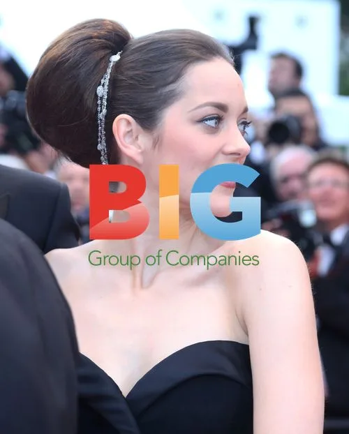 Cannes Film Festival Red Carpet