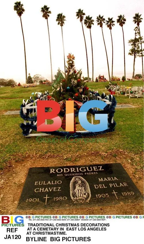 Traditional Christmas Decorations in East LA