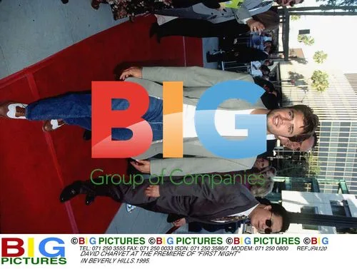 David Charvet at "First Night" Premiere