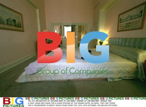 Sumo Wrestler's Oversized Hotel Room in Paris