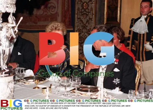King Carl XVI Gustaf of Sweden at Dinner with Estonian President
