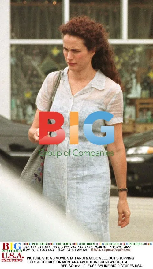 Andie MacDowell goes grocery shopping in Brentwood
