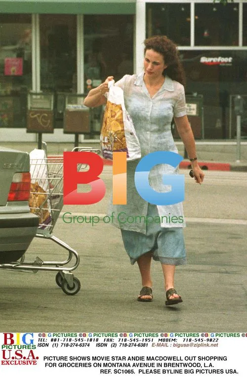 Andie MacDowell Grocery Shopping in Brentwood