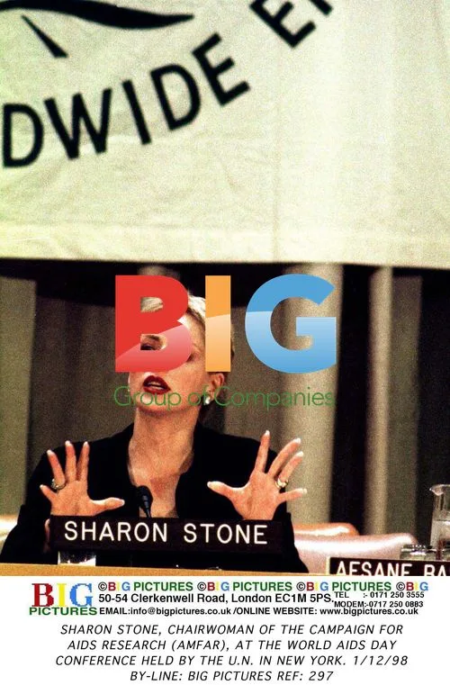Sharon Stone at UN World AIDS Day Conference