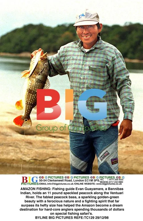 Fishing Guide Holds Amazon Peacock Bass