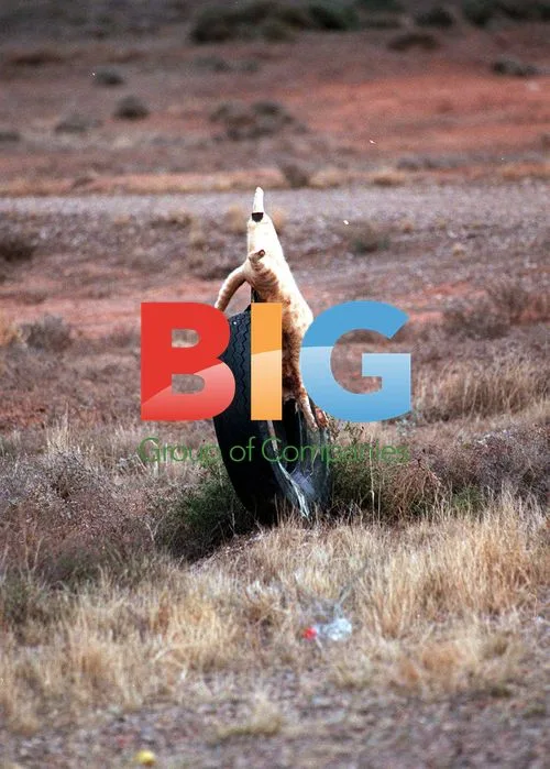 Kate Winslett in Remote Australia