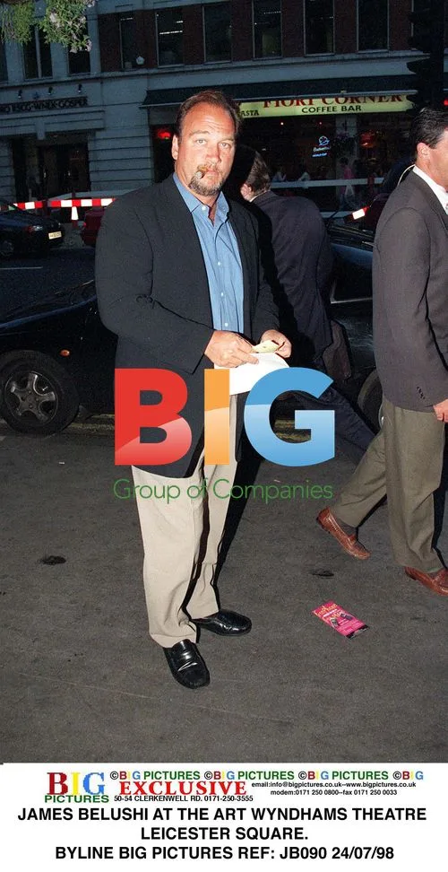 JAMES BELUSHI at Art Wyndhams Theatre