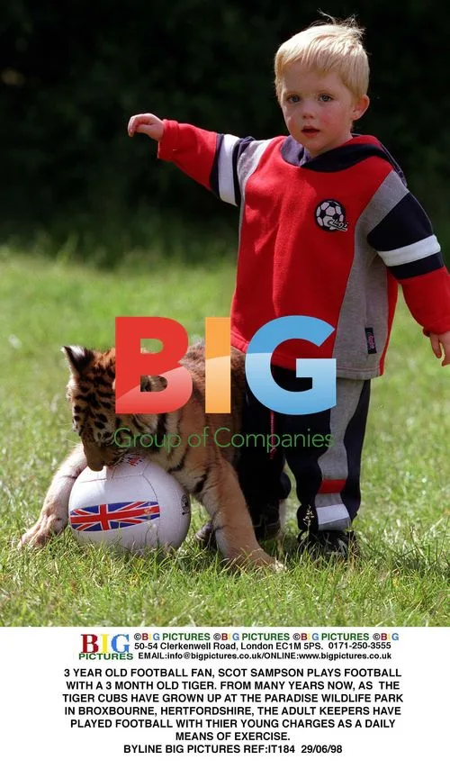 Young Boy Plays Football with Tiger Cub