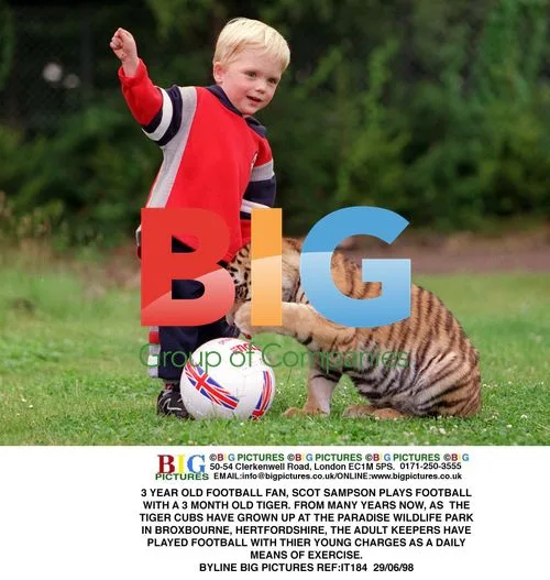 3 Year Old Plays Football with Tiger Cub