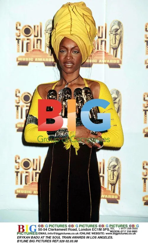 Erykah Badu at Soul Train Awards