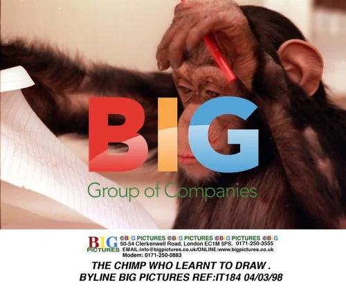 Chimp Learns to Draw