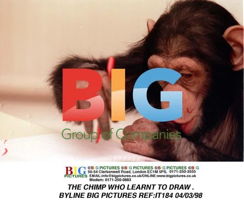 The Chimp Who Learnt to Draw