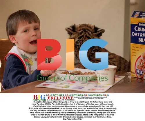 Young Boy Breakfasts With Tiger Cub