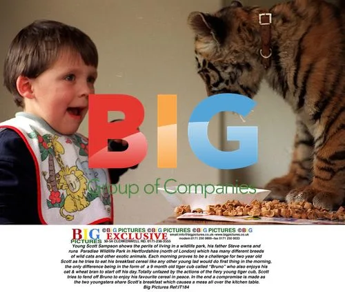 Young Boy Eating Breakfast with Tiger Cub