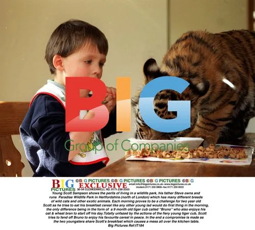 Young Boy Shares Breakfast with Tiger Cub