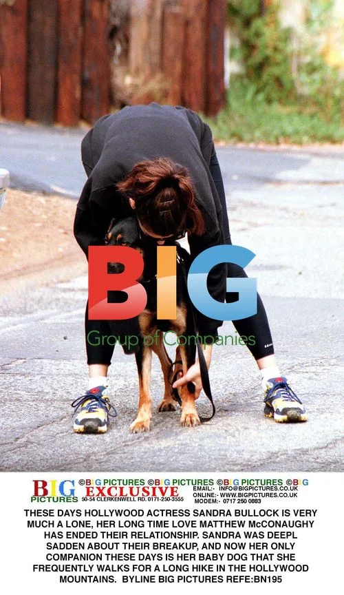 Sandra Bullock Takes Solo Hike With Dog