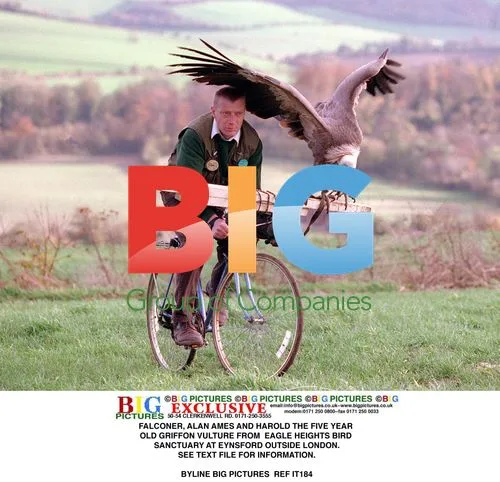 Alan Ames and Harold the Griffon Vulture