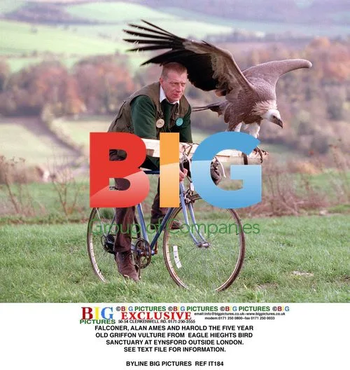 Alan Ames and Harold the Griffon Vulture