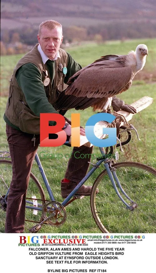 Falconer Alan Ames and Griffon Vulture