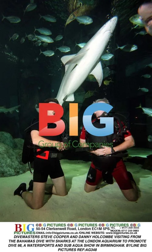 Divemasters Dive with Sharks in London