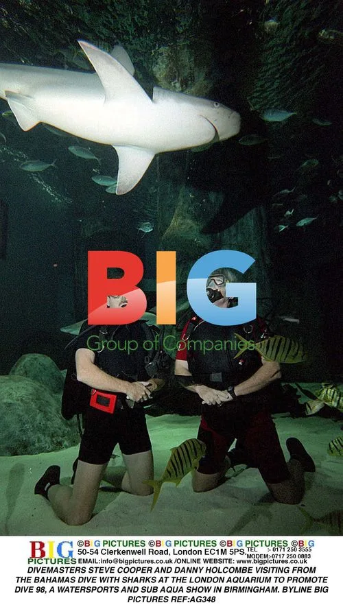 Divemasters Swim with Sharks at London Aquarium