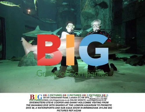 Divemasters Dive with Sharks at London Aquarium