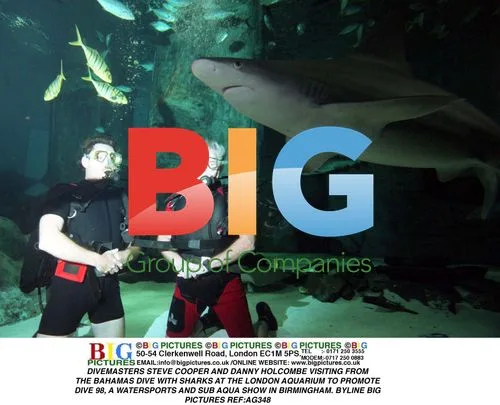 Divers Visit London Aquarium to Promote Dive Show