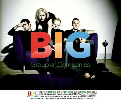 The Cardigans, Swedish Pop Band