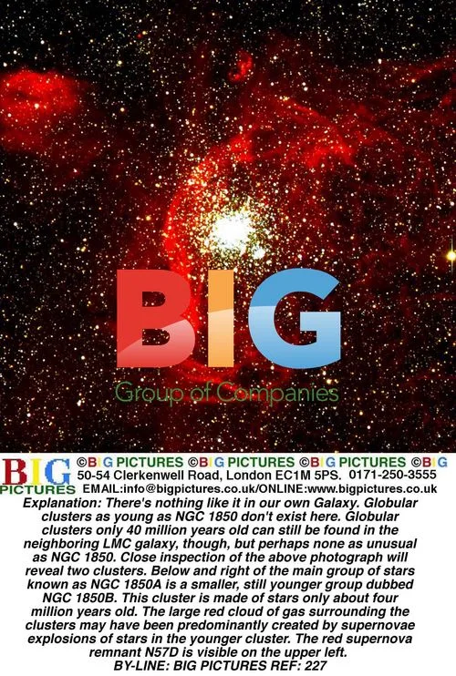 Globular Clusters in the LMC