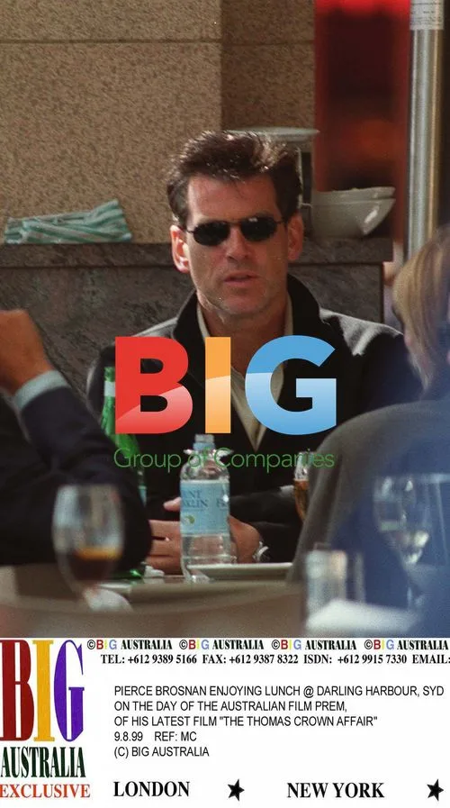 Pierce Brosnan in 'The Thomas Crown Affair'