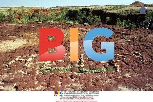 Robert Bogucki Found Near Water Hole
