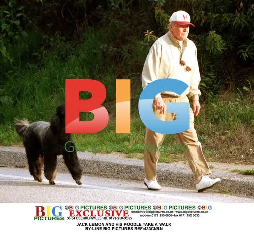 Jack Lemmon and poodle on walk