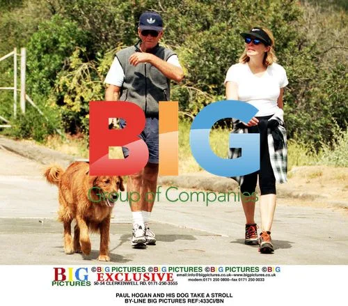 Paul Hogan strolls with dog