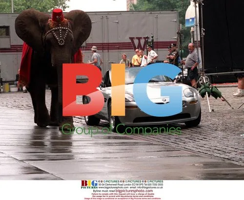 Amy the Elephant Tests Millennium Car