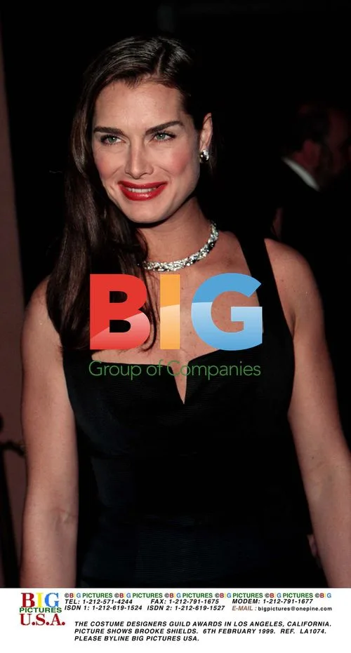Brooke Shields at Costume Designers Guild Awards