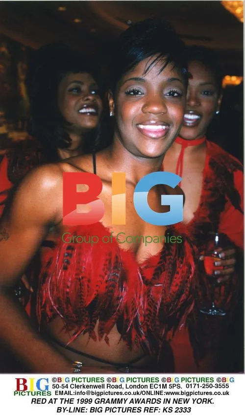 Red at the 1999 Grammy Awards