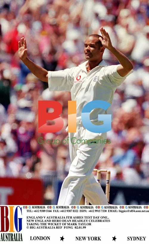 Dean Headley celebrates wicket of Mark Taylor