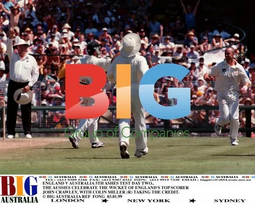 Aussies celebrate Crawley's wicket
