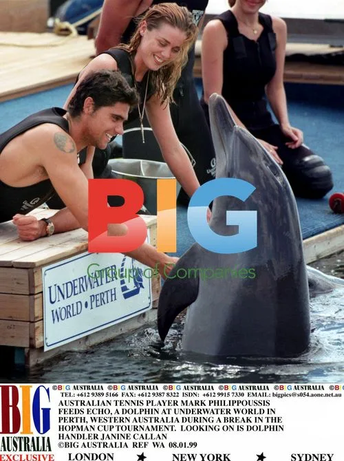 Mark Philippoussis Feeds Dolphin at Hopman Cup