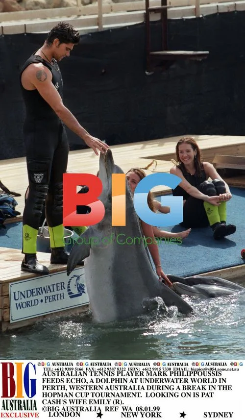 Philippoussis Feeds Echo the Dolphin in Perth