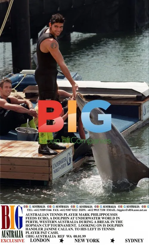 Mark Philippoussis Feeds Dolphin in Perth