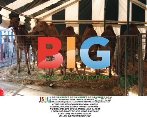 Bardot Protests Circus Animal Treatment