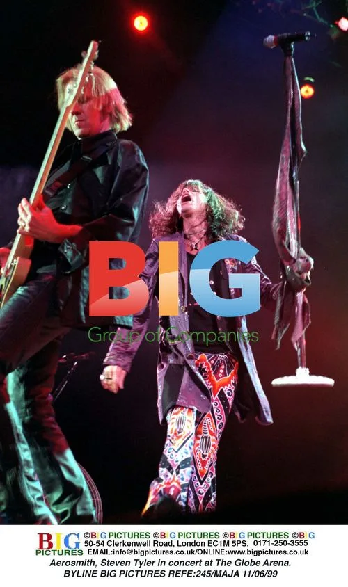 Aerosmith, Steven Tyler in concert