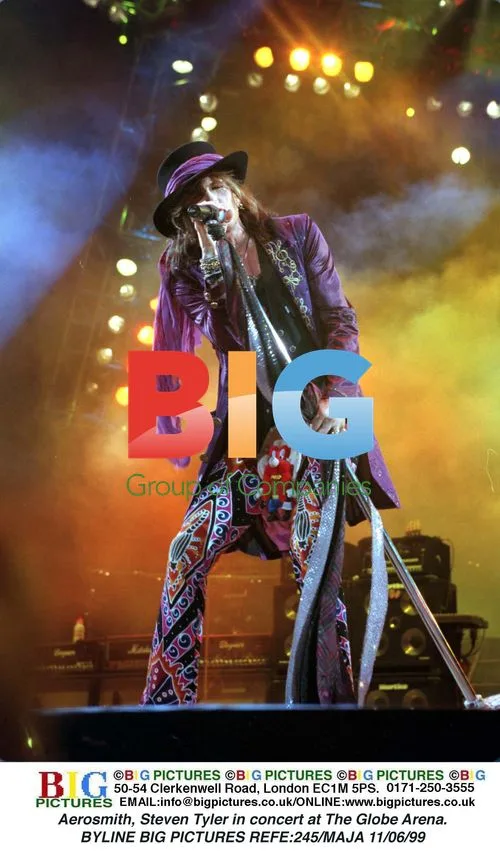 Aerosmith's Steven Tyler in concert