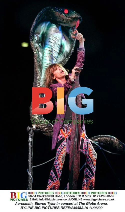 Aerosmith's Steven Tyler at The Globe Arena