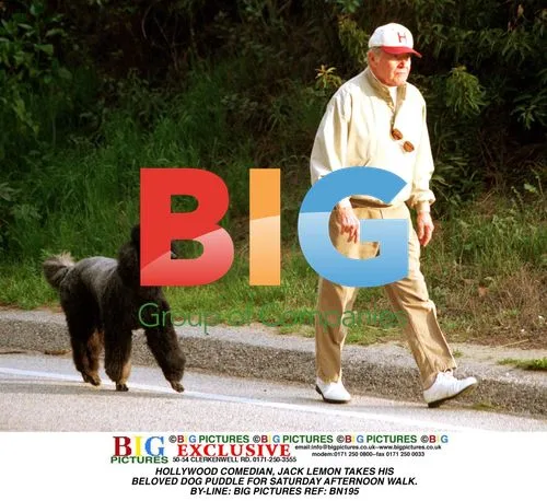 Jack Lemon and dog Puddle take walk