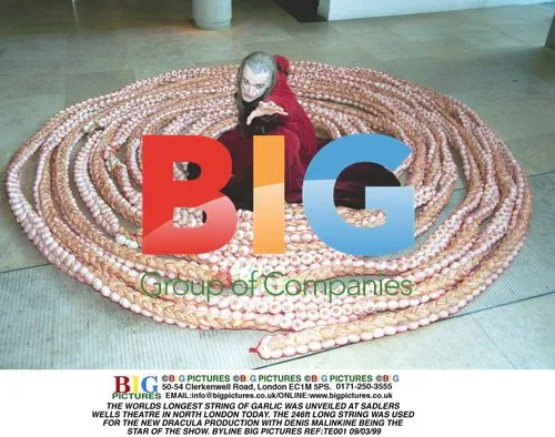 World's Longest Garlic String Unveiled